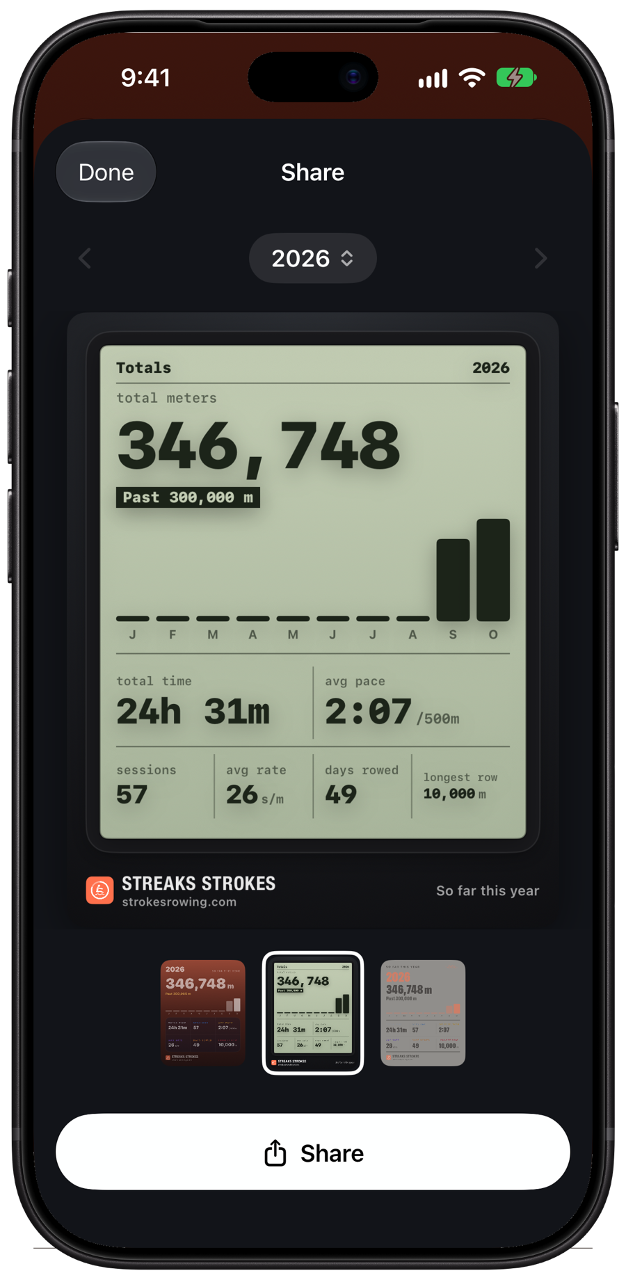 Sharing this year's totals as an image drawn like a rowing monitor's screen